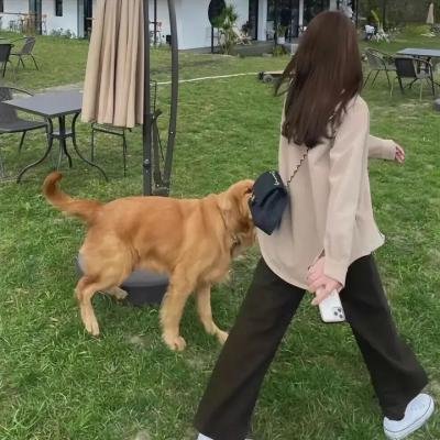 乌龙春潮